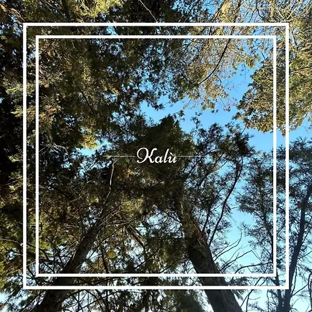 Kalu *
