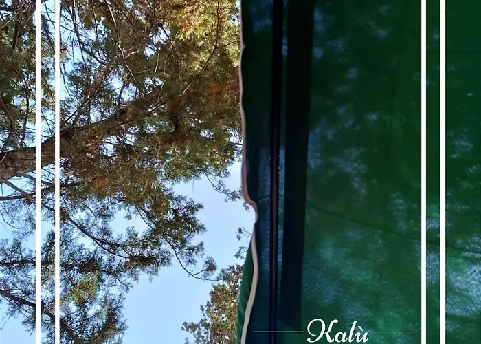 Kalu * مارودجو