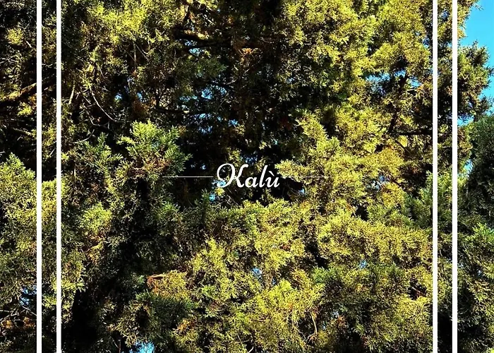 Сasa de vacaciones Kalu *